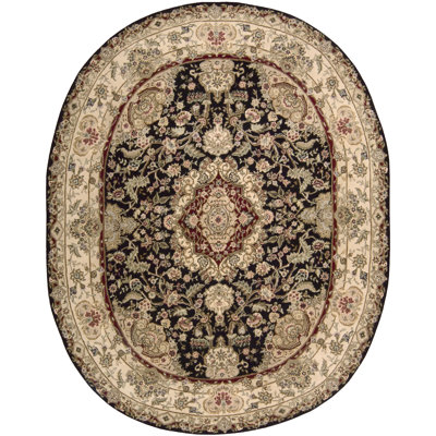 Nourison Nourison Black/Tan Rug