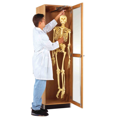 Diversified Woodcrafts Hanging Skeleton Cabinet