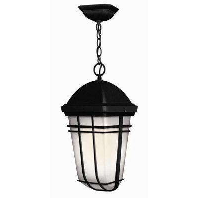 Hinkley Lighting Buckley Outdoor Hanging Lantern