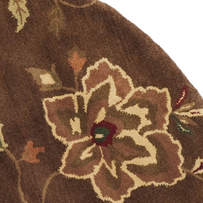 Safavieh Jardin Brown/Multi Rug