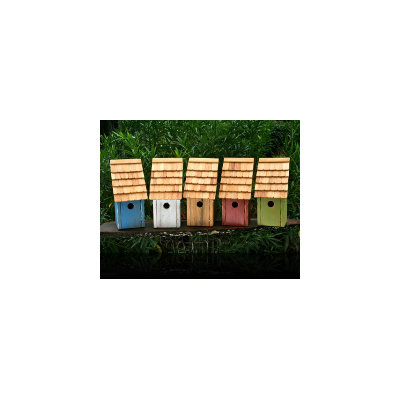 Heartwood Blue Bird Bunkhouse Bird House