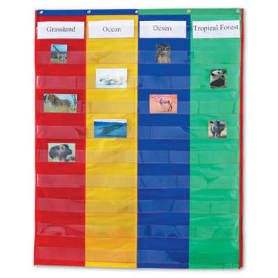 Two and Four Column Double - Ssided Pocket Chart