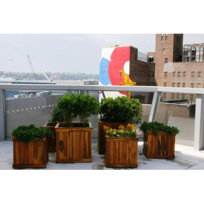 Diamond Teak Cubed Box Planter