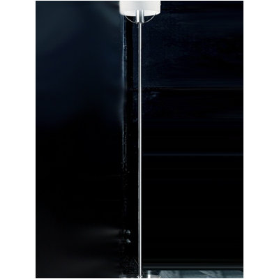 Zaneen Lighting Ring Floor Lamp