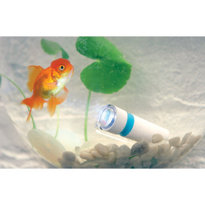 Kikkerland Push Light Flashlight