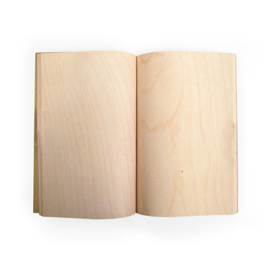 Kikkerland Woodpecker Notebook