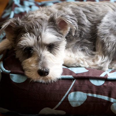 Molly Mutt Your Hand in Mine Gusseted Dog Duvet
