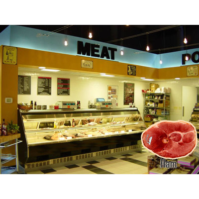 Dogzzzz Tough Chew Ham Steak Dog Toy