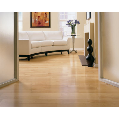 Somerset Floors Solid 5" Maple Plank in Natural