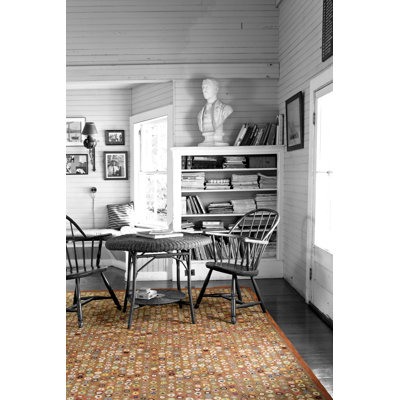Dash and Albert Rugs Hooked Cats Paw Brown Micro Rug