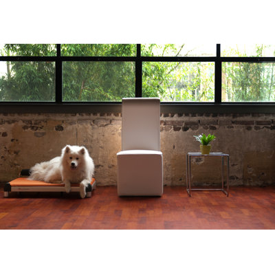 DoggySnooze SnoozeSleeper Dog Bed with Long Legs and a Black Anodized Frame