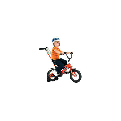 Schwinn Boys 12" Juvenile Grit Bike with Training Wheels