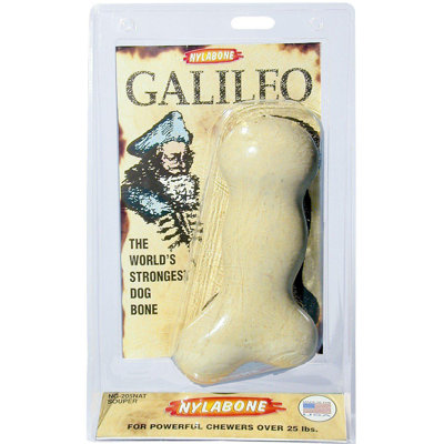 Nylabone Galileo Bone Dog Chew Toy