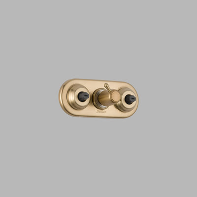 Delta Jetted Module Diverter Trim