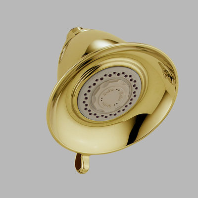 Delta Victorian Touch-Clean Shower Head