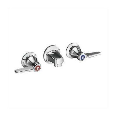 Kohler Triton Ada Compliant Wall Mounted Bathroom Faucet with Double Cross Handles