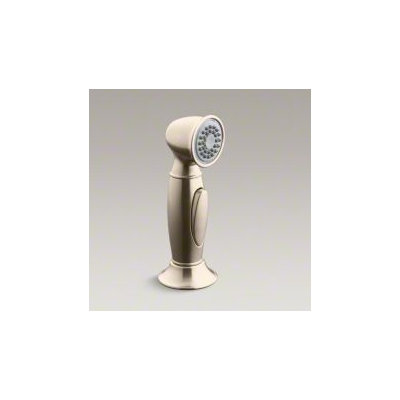 Kohler Accent Kitchen Side Spray