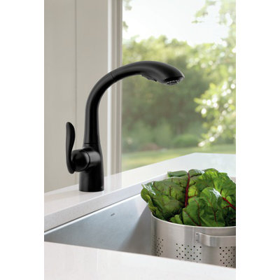 Moen Arbor One Handle High Arc Kitchen Faucet