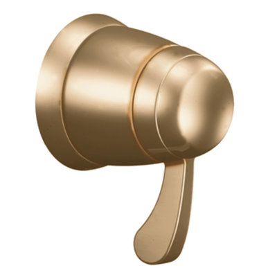 Moen Exacttemp Volume Control Valve Trim