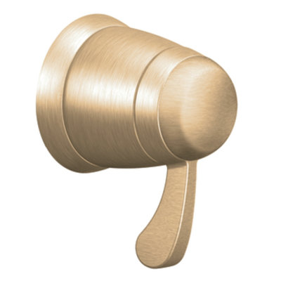 Moen Volume Control