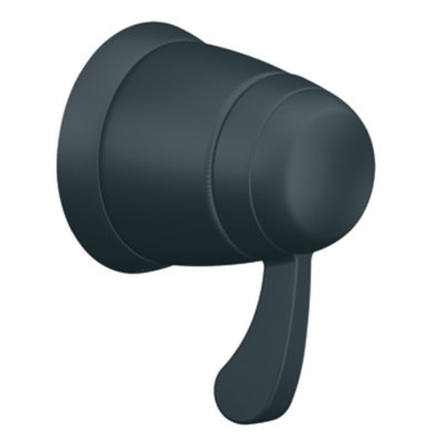 Moen Volume Control