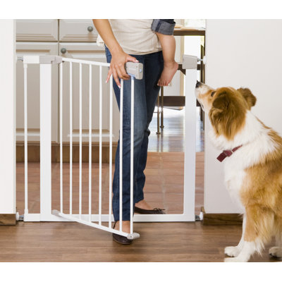 Munchkin Standard 11" Extension