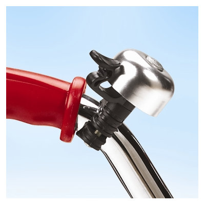 Radio Flyer 5.5" Scoot-About Balance Bike