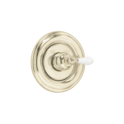 American Standard Hampton Valve Trim