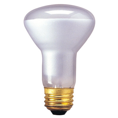 Bulbrite Industries R20 Incandescent Indoor Reflector Bulb for Flood