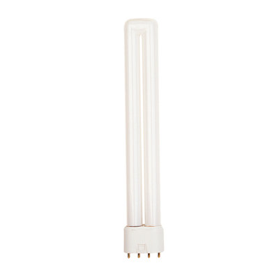 Bulbrite Industries Dimmable Compact Fluorescent Bulb