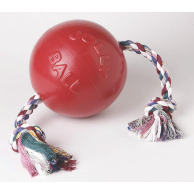 Jolly Pets Romp And Roll Ball