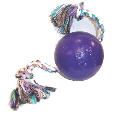 Jolly Pets Romp And Roll Ball