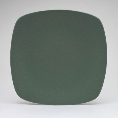 Noritake Colorwave 11.75" Large Quad Plate