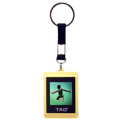 Tao Electronics Inc. Digital Photo Key Chain (Pair of 2 Key Chains)