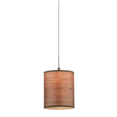 Philips Forecast Lighting Pendant Shade