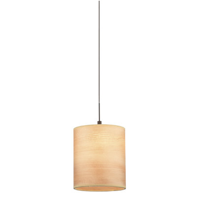 Philips Forecast Lighting Pendant Shade
