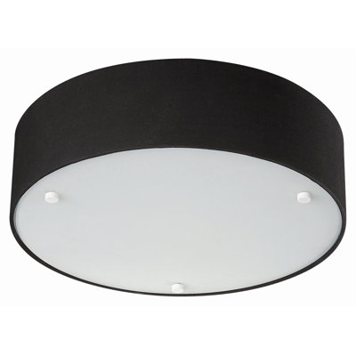 Philips Forecast Lighting Basal 2 Light Ceiling Lamp