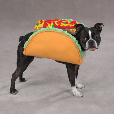 Casual Canine Taco Dog Costume