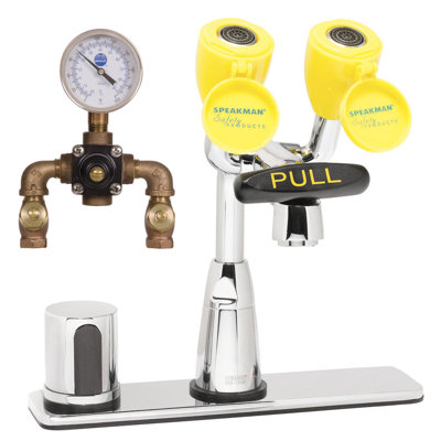 Speakman Eyesaver Centerset Faucet with Optional Thermostatic Mixing Valve, 8" Deck Plate and Battery Operated