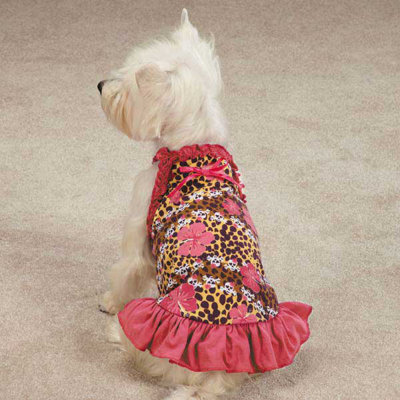 Skull-fari Leopard Ruffle Dog Dress