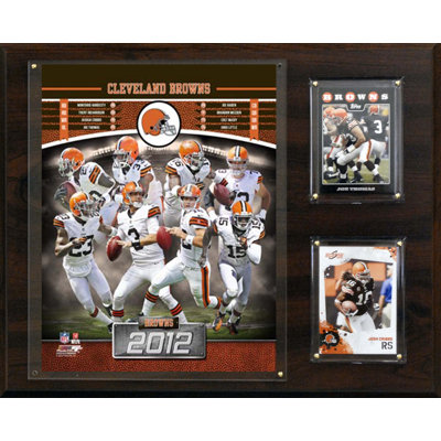 C & I Collectibles NFL 2012 Team Plaque