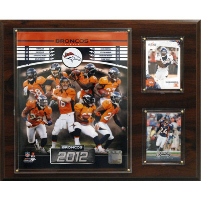 C & I Collectibles NFL 2012 Team Plaque