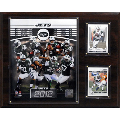 C & I Collectibles NFL 2012 Team Plaque