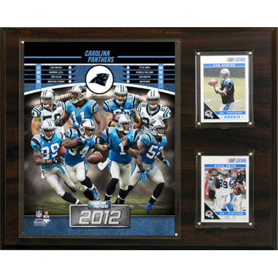 C & I Collectibles NFL 2012 Team Plaque