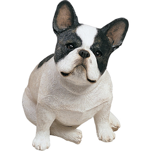 Download French Bulldog Life Size Photos