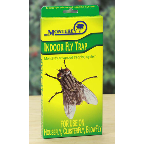 Indoor Fly Trap Wayfair