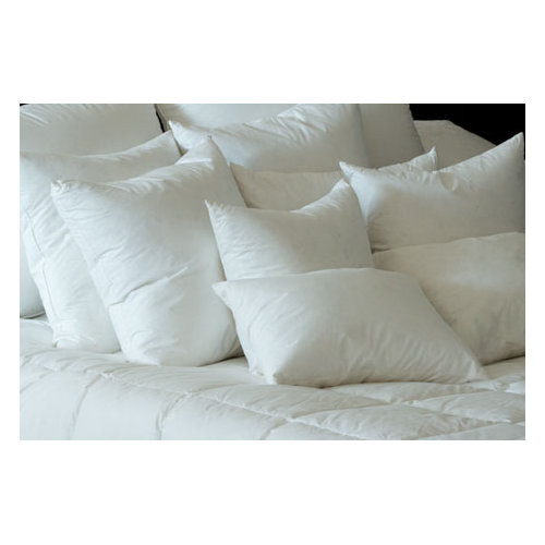 DownTown Company Downtown Boudoir Pillow Insert & Reviews Wayfair