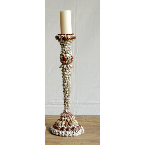 Morocco Seashell Pillar Candle Holder Wayfair