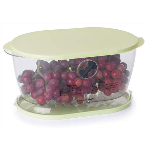 Progressive International Lettuce Keeper & Reviews Wayfair