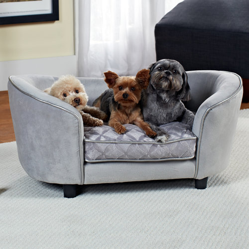 Enchanted Home Pet Quicksilver Dog Sofa Bed & Reviews | Wayfair Enchanted Home Pet Quicksilver Dog Sofa Bed & Reviews | Wayfair